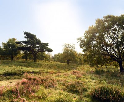 Naturschutzgebiet Binnendünen Nordoe