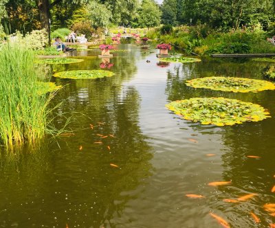 Planten un Blomen 2