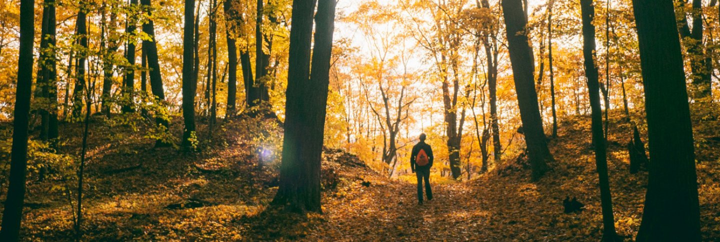 Header Lokbuch Herbst