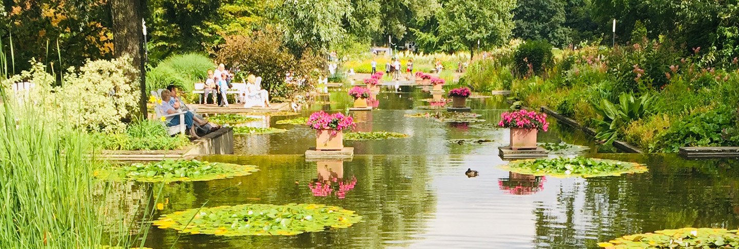 Planten un Blomen im Sommer