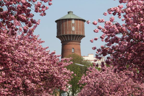 Wasserturm & Ilses Kerzenhaus