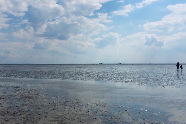 Wattenmeer 2