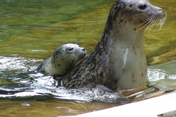 Tierpark Neumünster