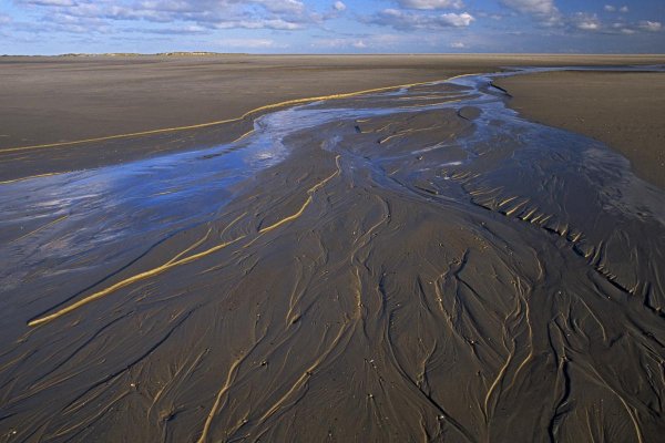 NP Wattenmeer Wattlandschaft