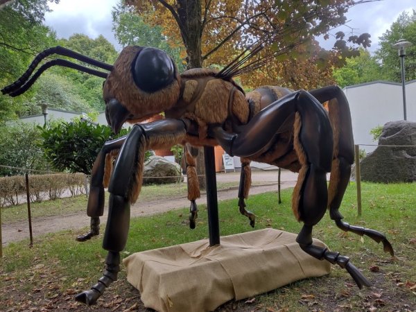 Insectopia_Ameise