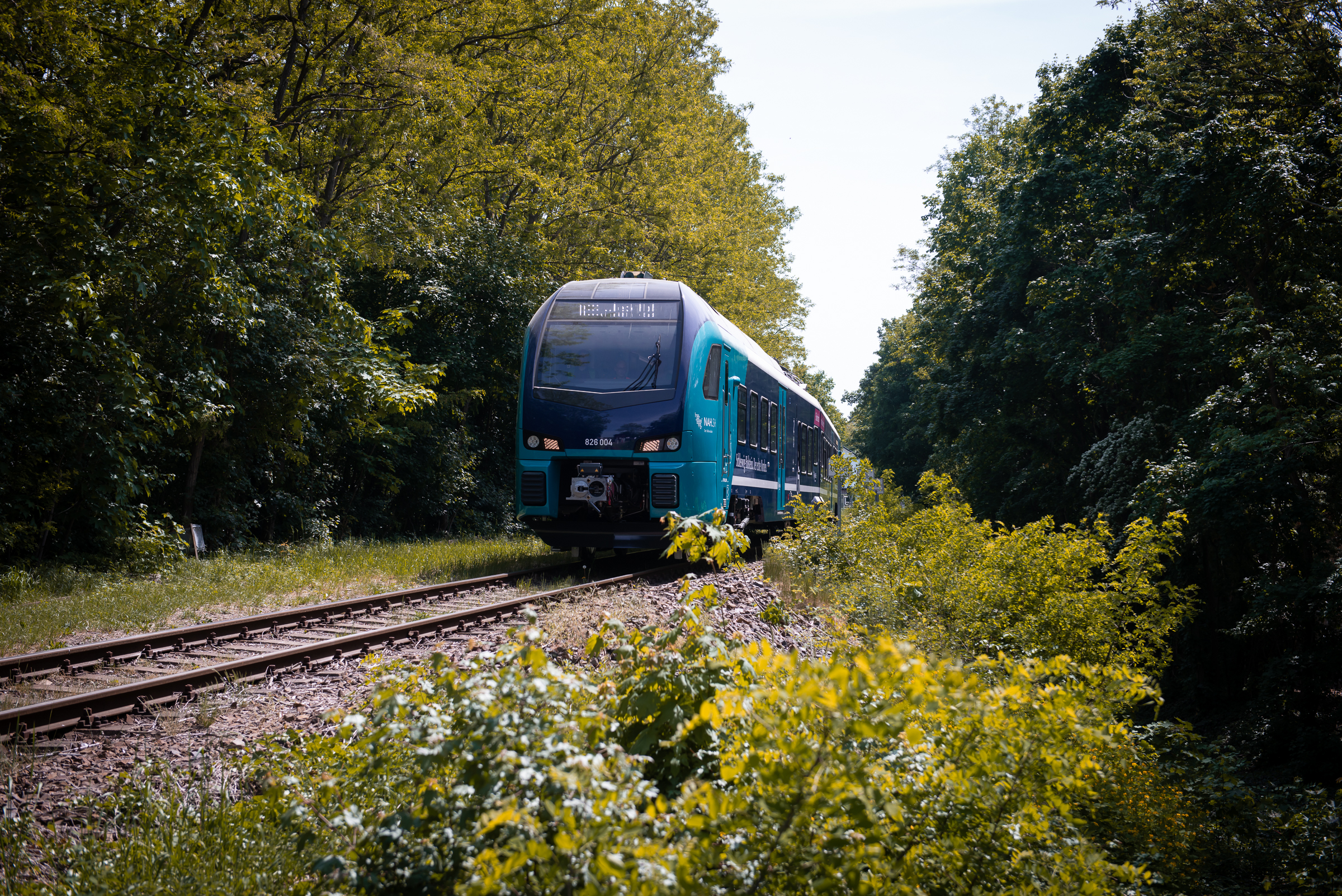 Stadler Deutschland / Milos Djuric