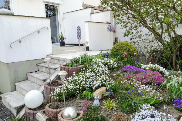 Garten_2