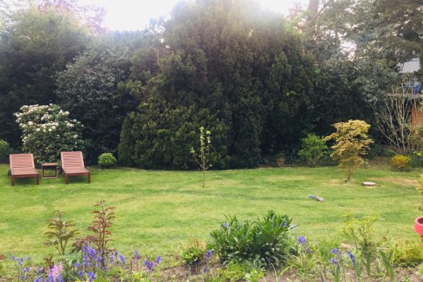 Garten_4