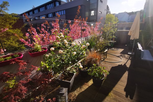 Terrasse_1