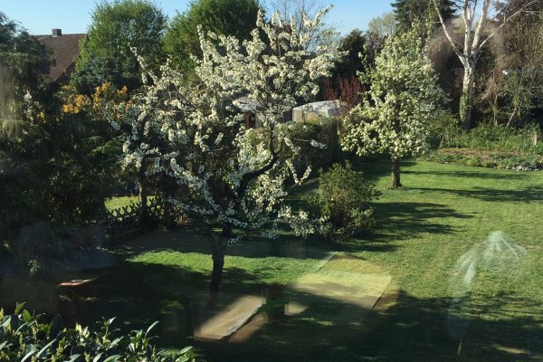 Garten_7