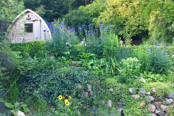 Garten_9