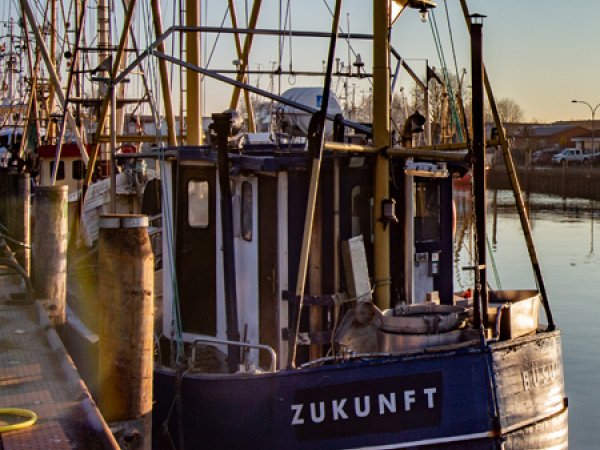 Büsum Hafenkutter